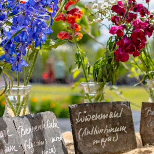 21. Juni  Pillnitzer Gartentag 2025